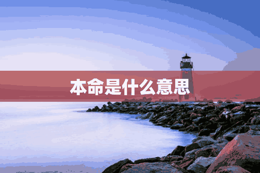 本命是什么意思